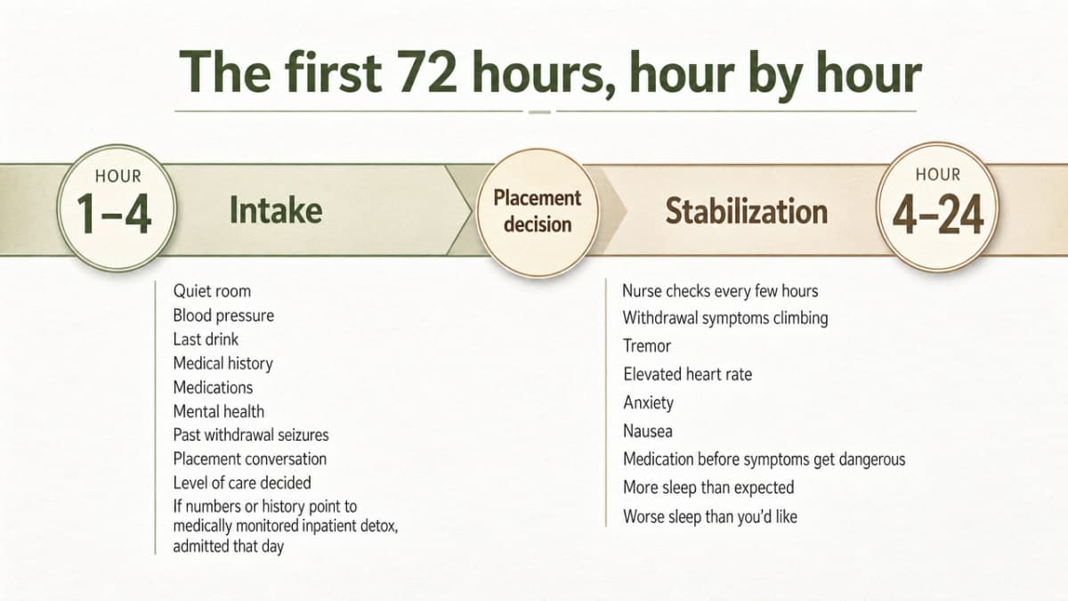 Reinforce the section's hour-by-hour patient journey through the first three days of medically monitored detox
