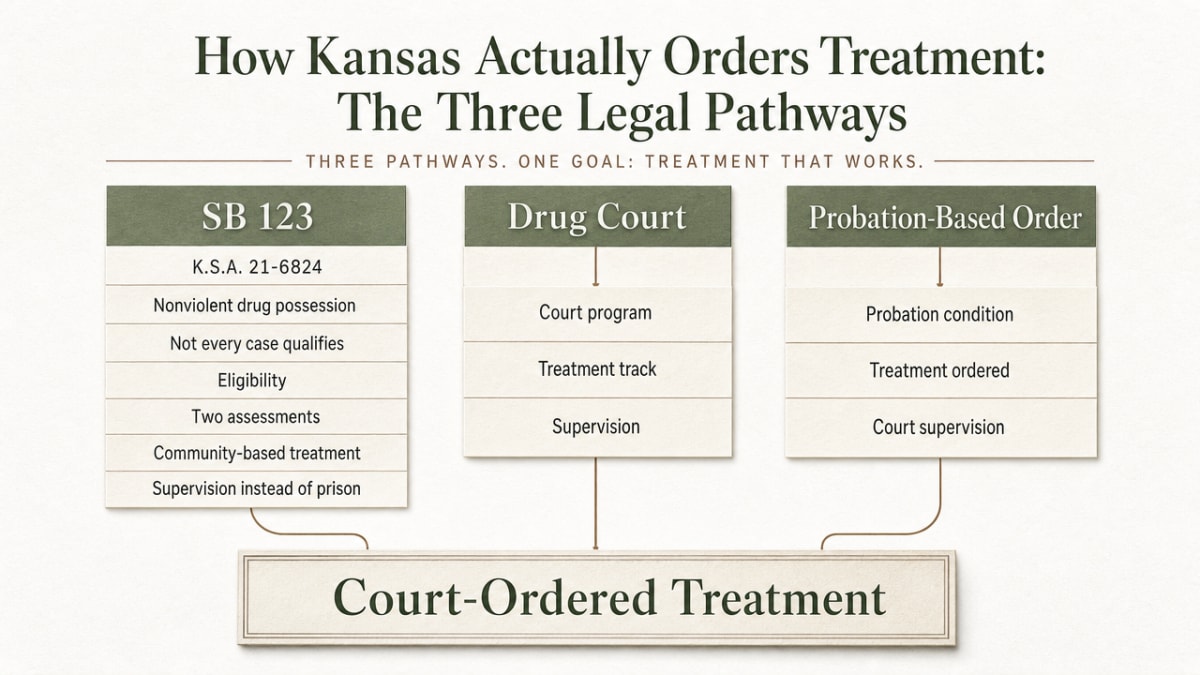 Visualize the three distinct legal pathways to court-ordered treatment described in this section, giving readers a clear at-a-glance comparison of SB 123, drug court, and probation-based orders