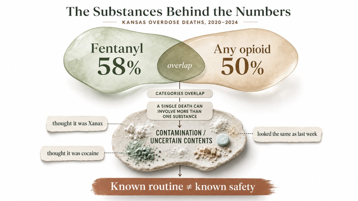 Visualize the fentanyl and opioid involvement statistics cited in this section about Kansas overdose deaths 2020-2024