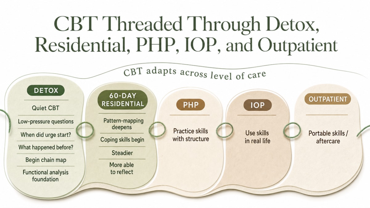 Visualize how CBT is adapted across the five levels of care described in this section, showing the progression from gentle pattern-mapping in detox to portable skills in aftercare