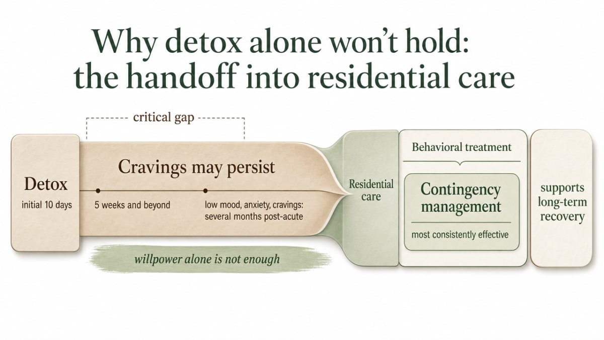 Visualize the continuum of care handoff described in this section, contrasting the short detox window against the longer craving window and showing the transition into behavioral treatments
