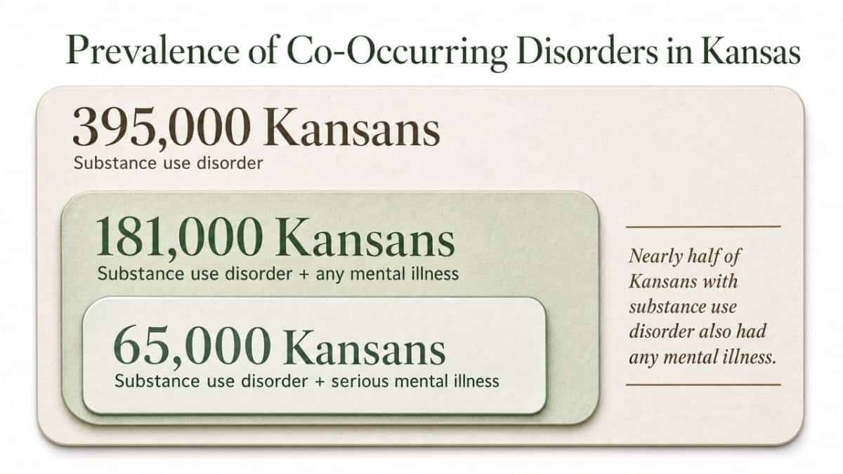 Visualize the scale of co-occurring substance use disorder and mental illness in Kansas, directly supporting the paragraph's cited figures of 395,000, 181,000, and 65,000 Kansans