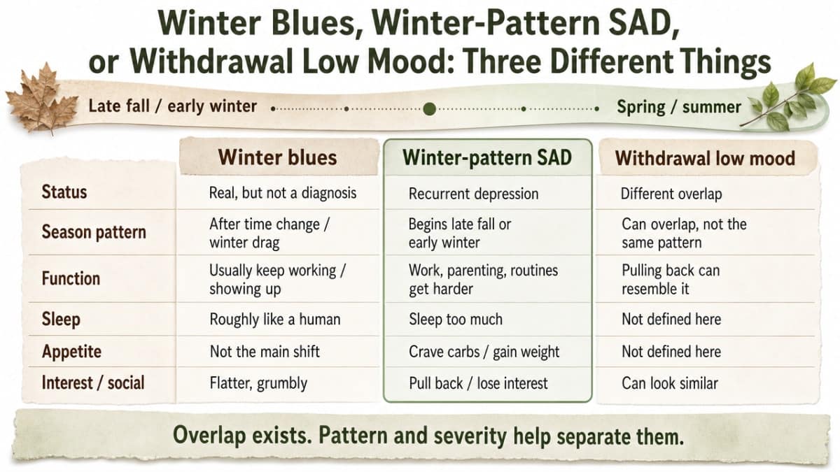 Comparison infographic distinguishing the three overlapping conditions discussed in this section, giving readers a visual framework for the differential described in the prose